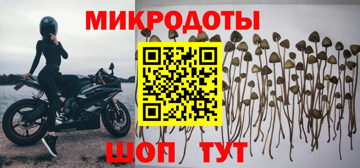 Псилоцибиновые грибы GOLDEN TEACHER Махачкала